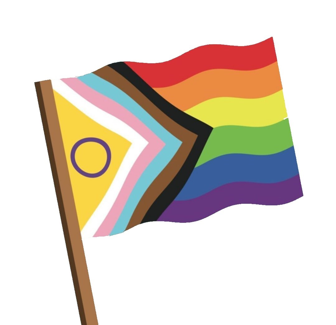 Drapeau LGBTQIA incluant le drapeau intersexe et trans !